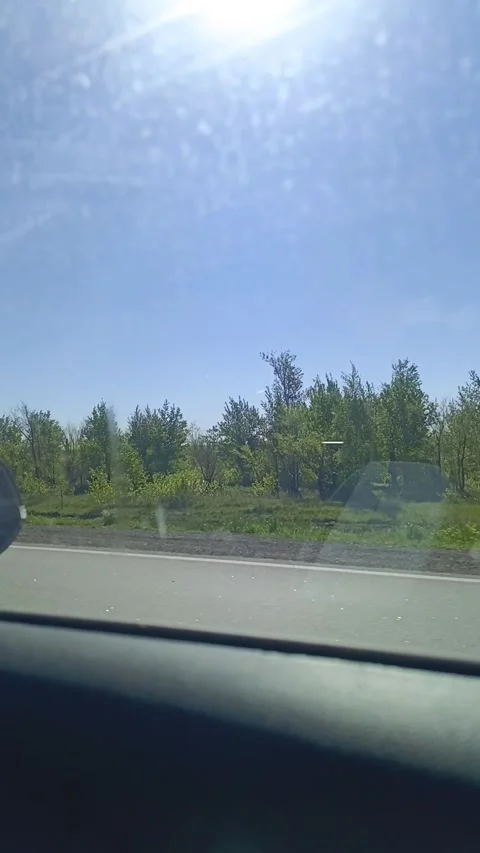From the car window you can see the trees along the road, the green grass and Video stock 336183566