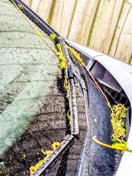 A Car Windscreen Which Has Been Covered In Fallen Foliage Stock Photos