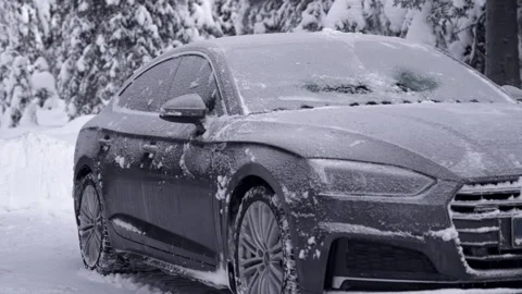 Car windshield defrosting timelapse in snowy winter forest Stock Footage 167039187