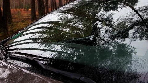 Car windshield wipers clean raindrops during autumn day, reflections of forest Stock-Footage 328359325