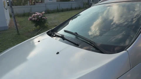 Car windshield wipers cleaning dirty glass Stock Footage 338408542
