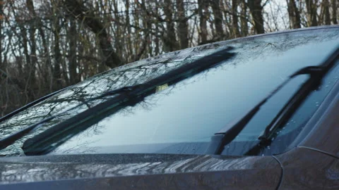 Car windshield wipers cleaning wet front glass in forest parking, close up view Stock Footage 325908692