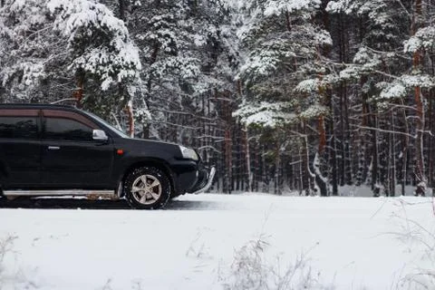 Car on a winter forest background Stockfoto's