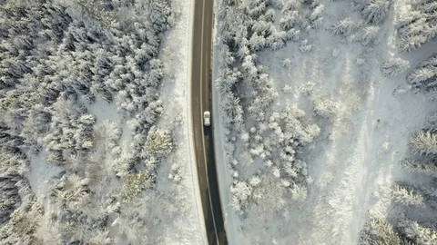 Car in winter forest Stock Footage 99878975