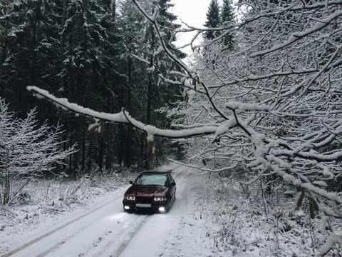 Car in the winter forest Foto stock