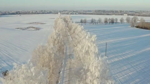 Car on Winter Road Stock Footage 258166519