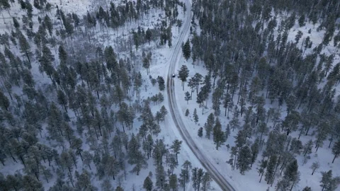 Car On Winter Road In Forest Stock Footage 229078753