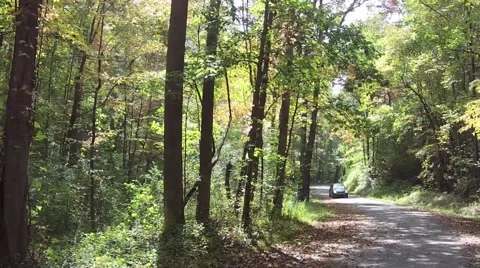 Car In Woods Clip Video stock 48131405