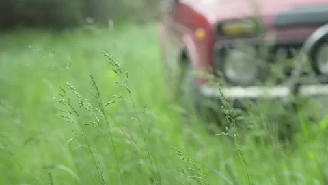 Car in the woods. Stock Footage