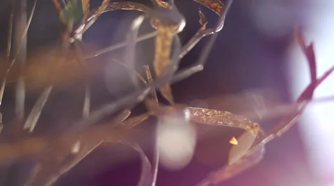 Car Wreck Stock Footage 47243574