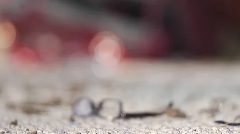 Car Wreck Stock Footage 47259151