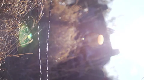 Car Wreck Stock Footage 47261351