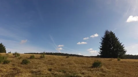 Car1 Stock Footage 143393574