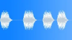 Car,2003 Volkswagon Golf,Horn,Short Blips 2Sound Effect