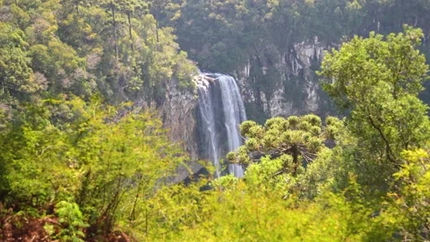 Caracol  Falls or Cascata do Caracol Stock Footage 196786780