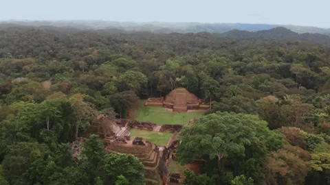 Caracol Mayan Temple in Belize Drone Video Shot, Aerial Footage Stock Footage 230791521