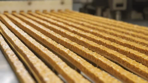 Caramel bars with nuts move along a conveyor belt for cutting. Stock Footage 277010624