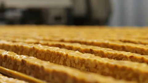 Caramel bars with nuts move along a conveyor belt for cutting. Stock Footage 277010720