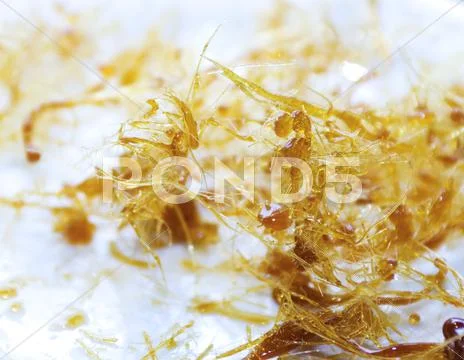 Caramel Stock Photos