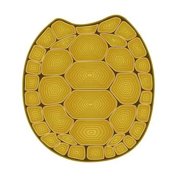 Carapace turtle Zen Tangle. Coloring book with shell tortoise. Marine life. Stock Illustration