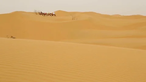 Caravan of camel riding through the desert Stock Footage 88336512