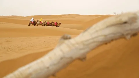 Caravan of camel riding through the Gobi desert Видео 88336293