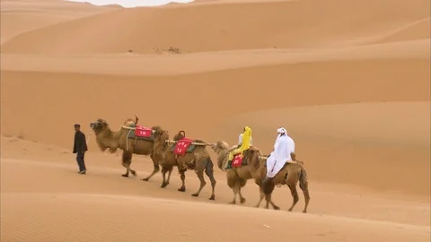 Caravan of camel riding through the Gobi desert Stock Footage 88337546