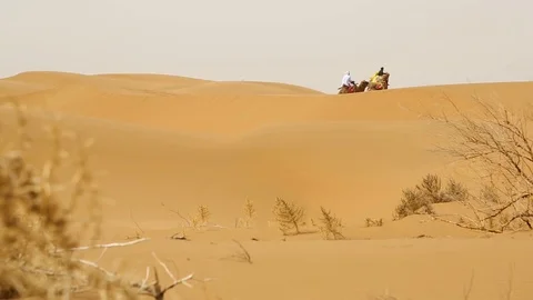 Caravan of camel riding through the Gobi desert Video stock 88826069