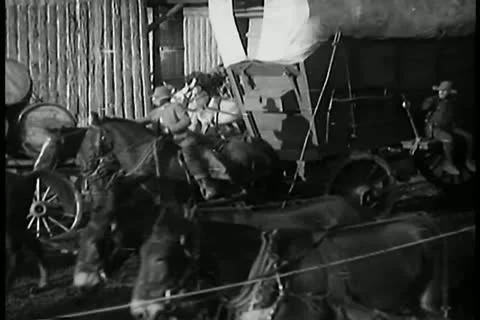 Caravan of covered wagons Vídeos de archivo 11350751