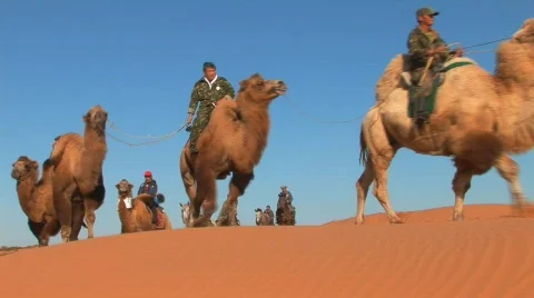 Caravan goes through desert Stock Footage 644630