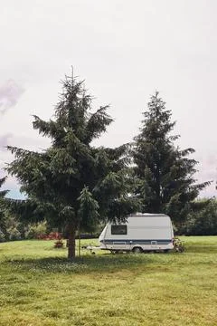 Caravan left among the pine trees on campsite Stock Photos