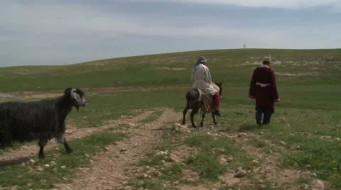 Caravan By Old Peasants Stock Footage 46055966