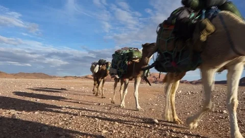 Caravan in Sahara Stock Footage