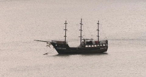 Caravel Vídeo Stock 110753267