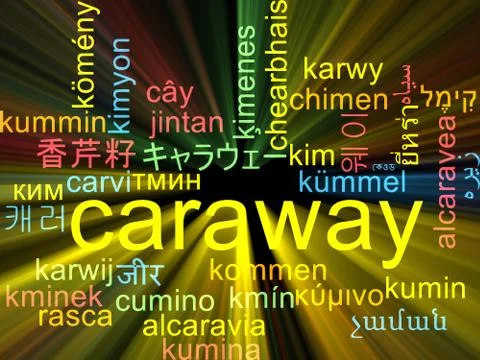 Caraway multilanguage wordcloud background concept glowing Stock Illustration