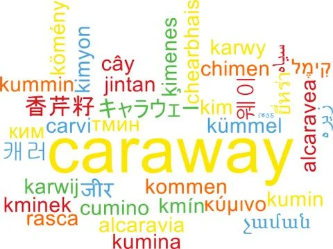 Caraway multilanguage wordcloud background concept Stock Illustration