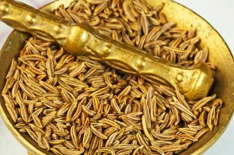 Caraway Stock Photos
