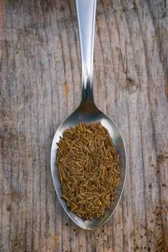 Caraway Stock Photos