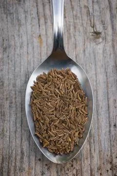 Caraway Stock Photos