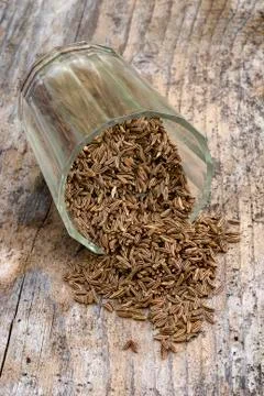 Caraway Stock Photos