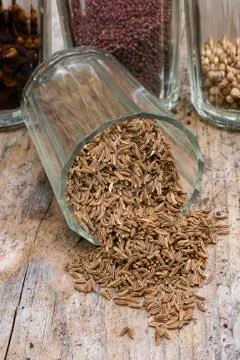 Caraway Stock Photos