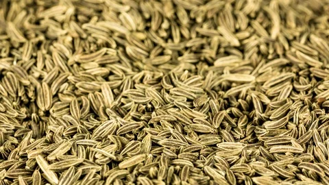 Caraway seed full frame in motion Stock Footage 92168519