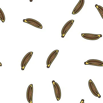 Caraway seed vector seamless pattern Stock Illustration