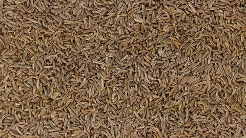 Caraway seeds closeup rotating Stockbeeldmateriaal 101682901