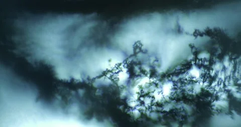 Carbon (C) Microstructure under Microscope, Scientific Research of Stock Footage 322604448