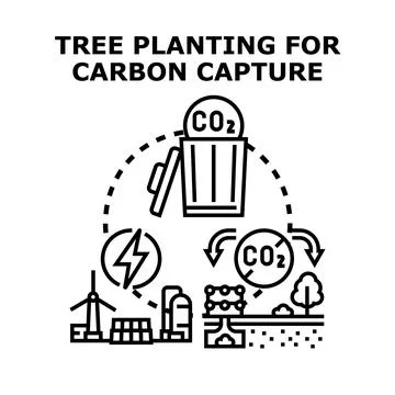 Carbon capture and storage with tree planting Ilustración de archivo