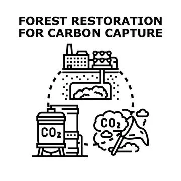 Carbon capture process restoring nature environment Stock Illustration