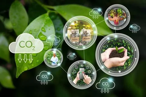 Carbon credits, Net zero emission, Clean technology, Renewable energy concept Stock-Fotos