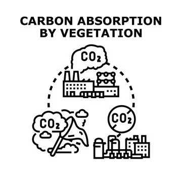 Carbon dioxide absorption by vegetation environment concept Stock Illustration