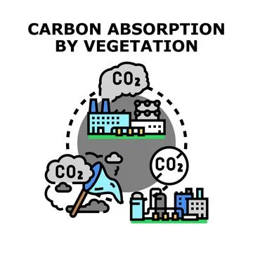 Carbon dioxide absorption by vegetation environment concept Stock Illustration